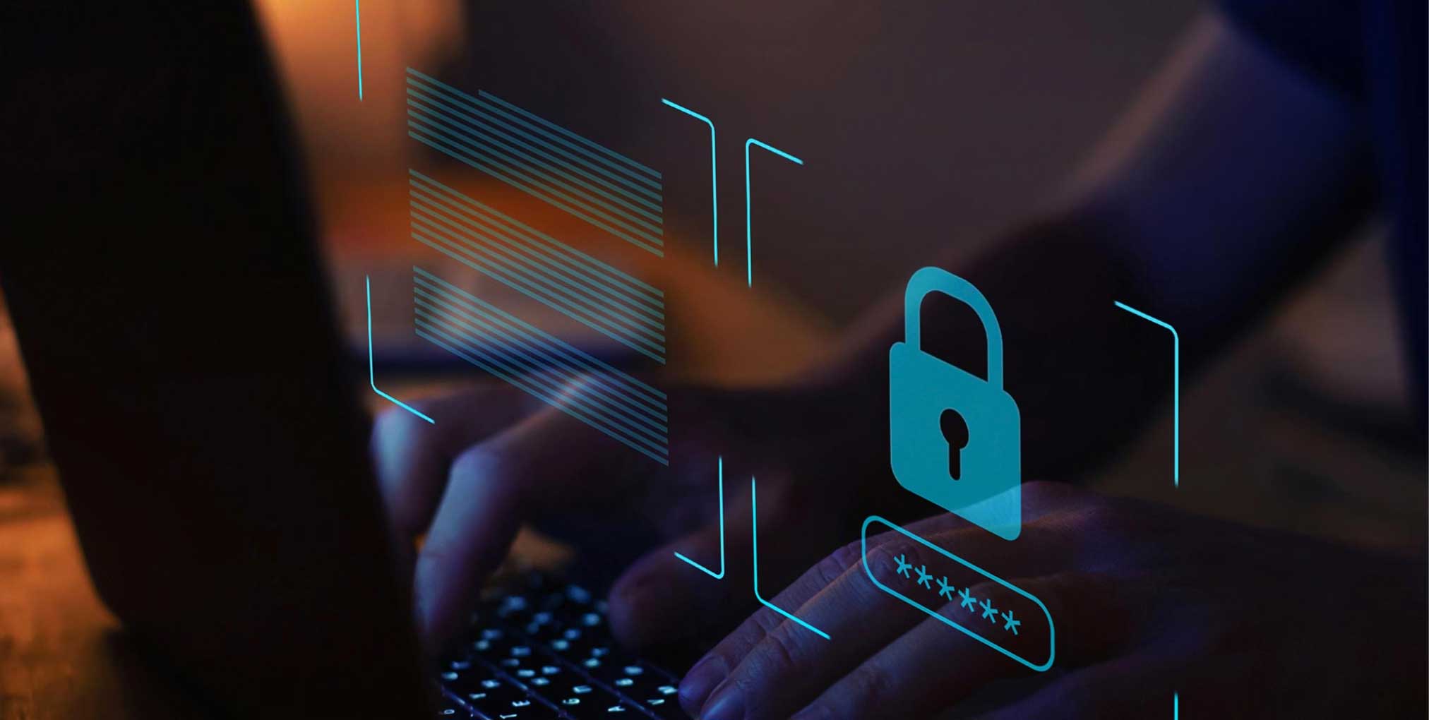 Potential Concerns Data Privacy